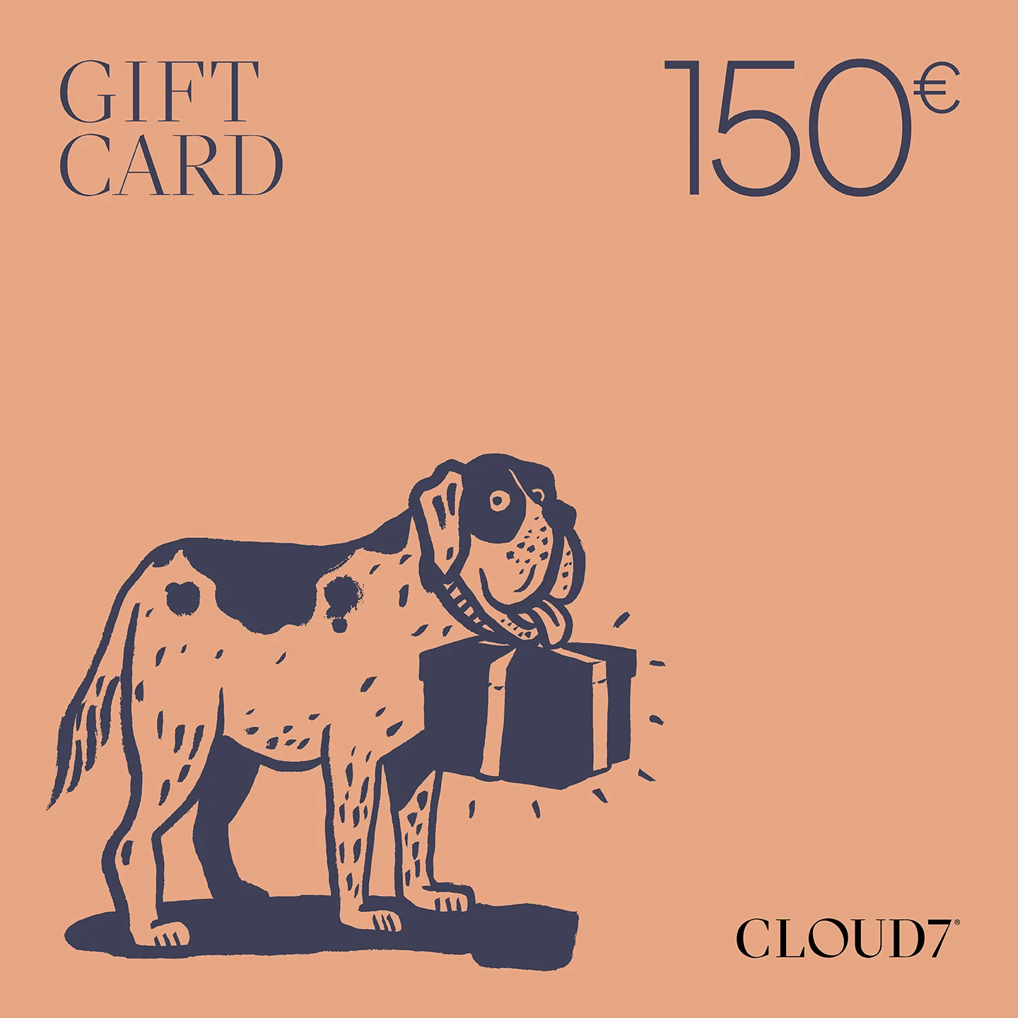 CLOUD7 Geschenkgutschein - Image 4