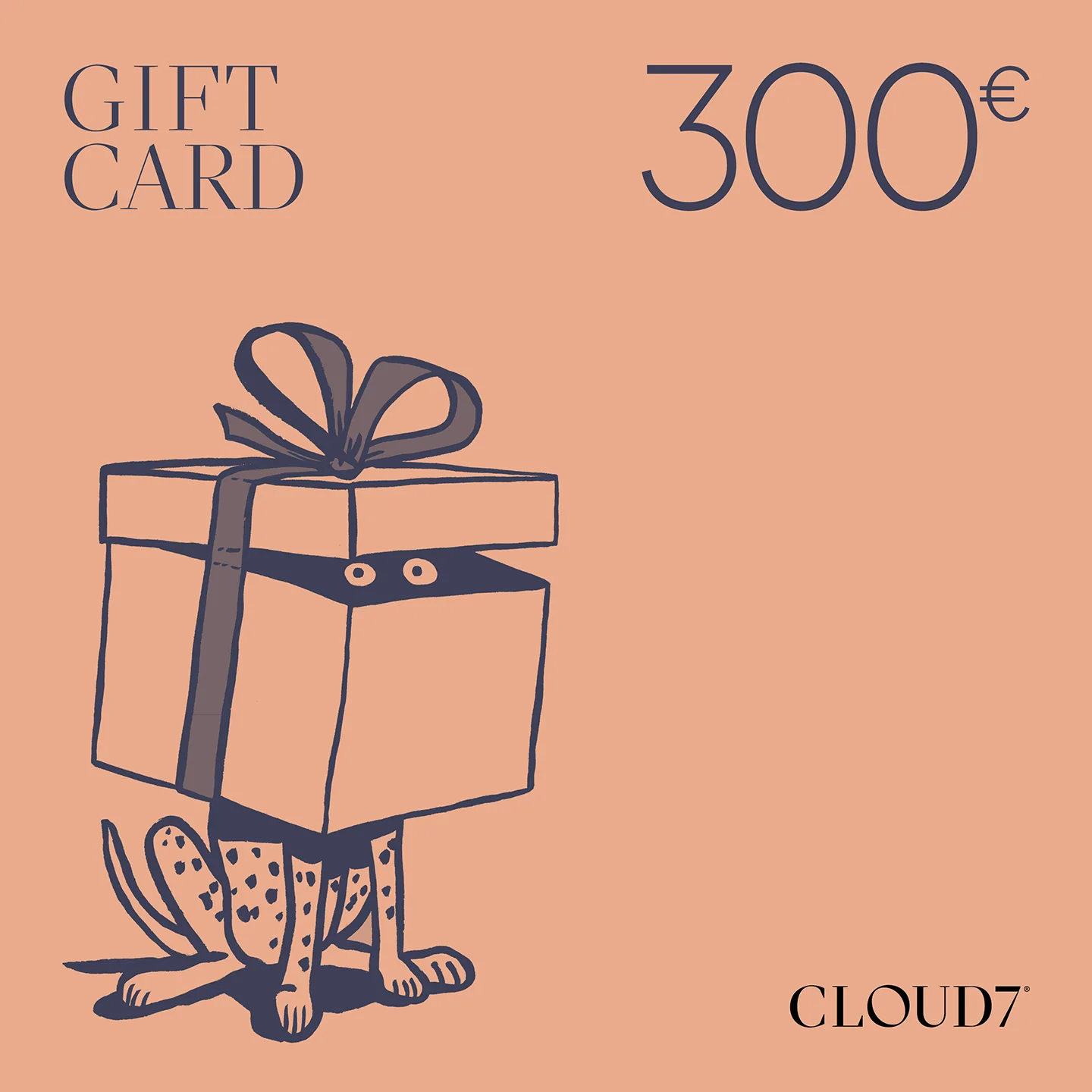 CLOUD7 Geschenkgutschein - Image 7