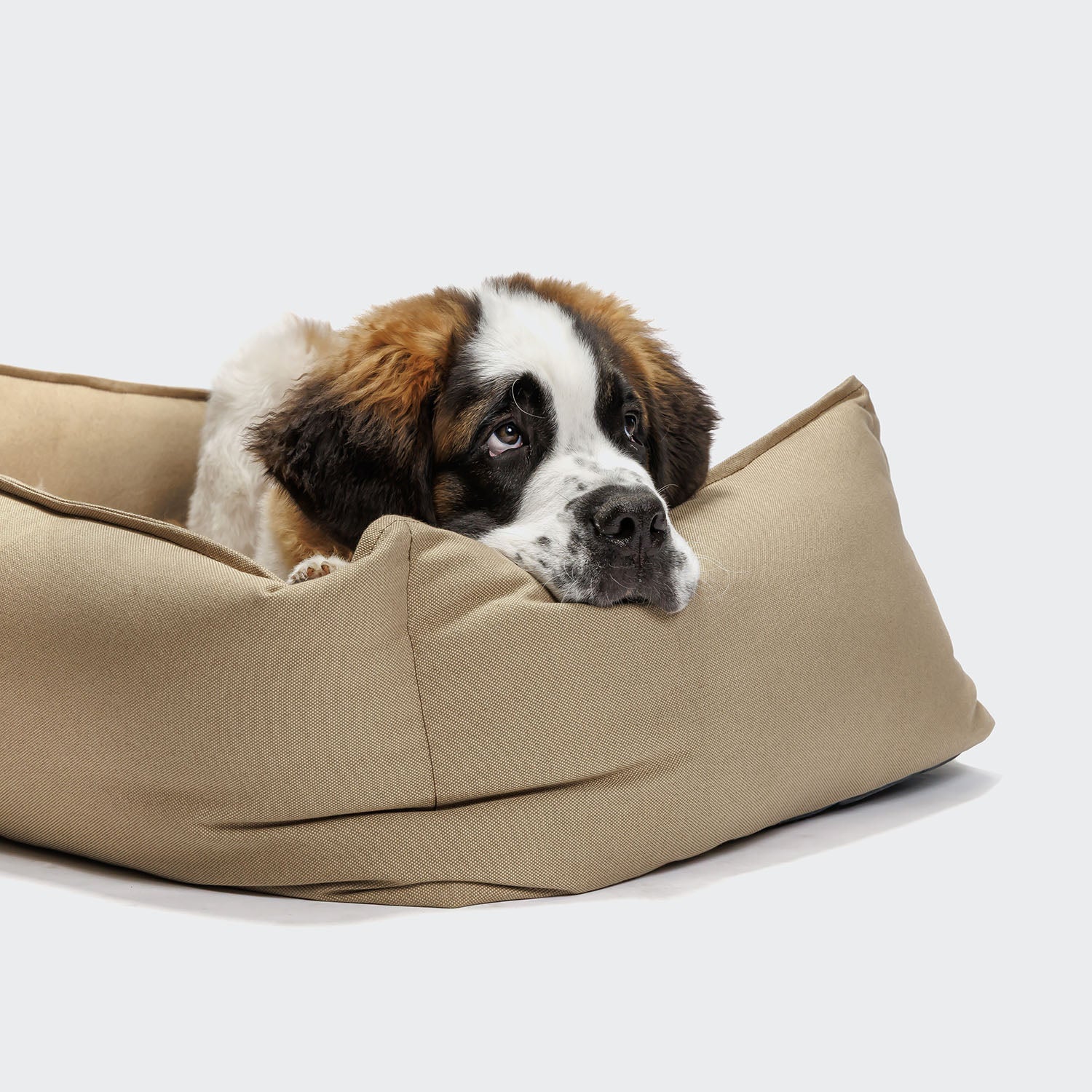 Hundebett Boost Canvas Beige - Image 2