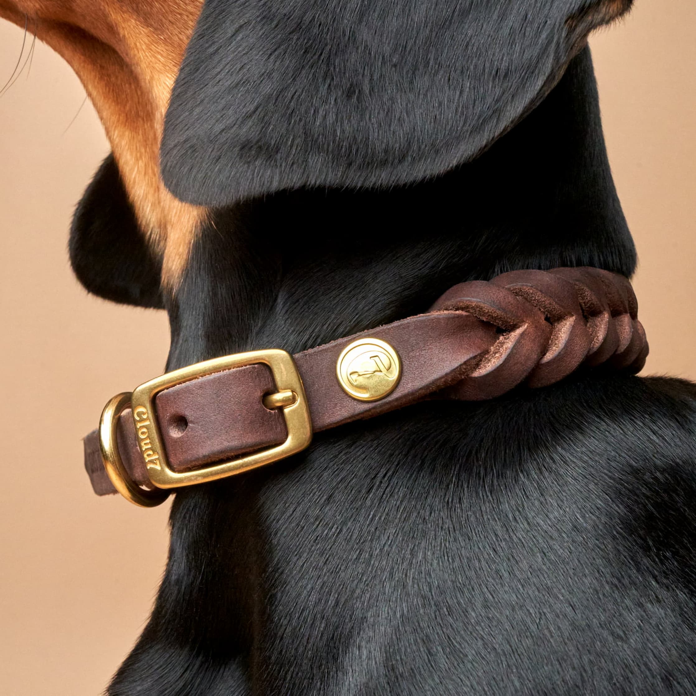 Hundehalsband Central Park Saddle Brown Gold - Image 5
