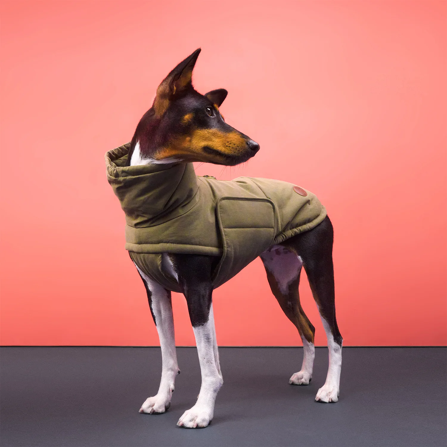 Hundemantel Yukon Teddy Khaki - Image 2