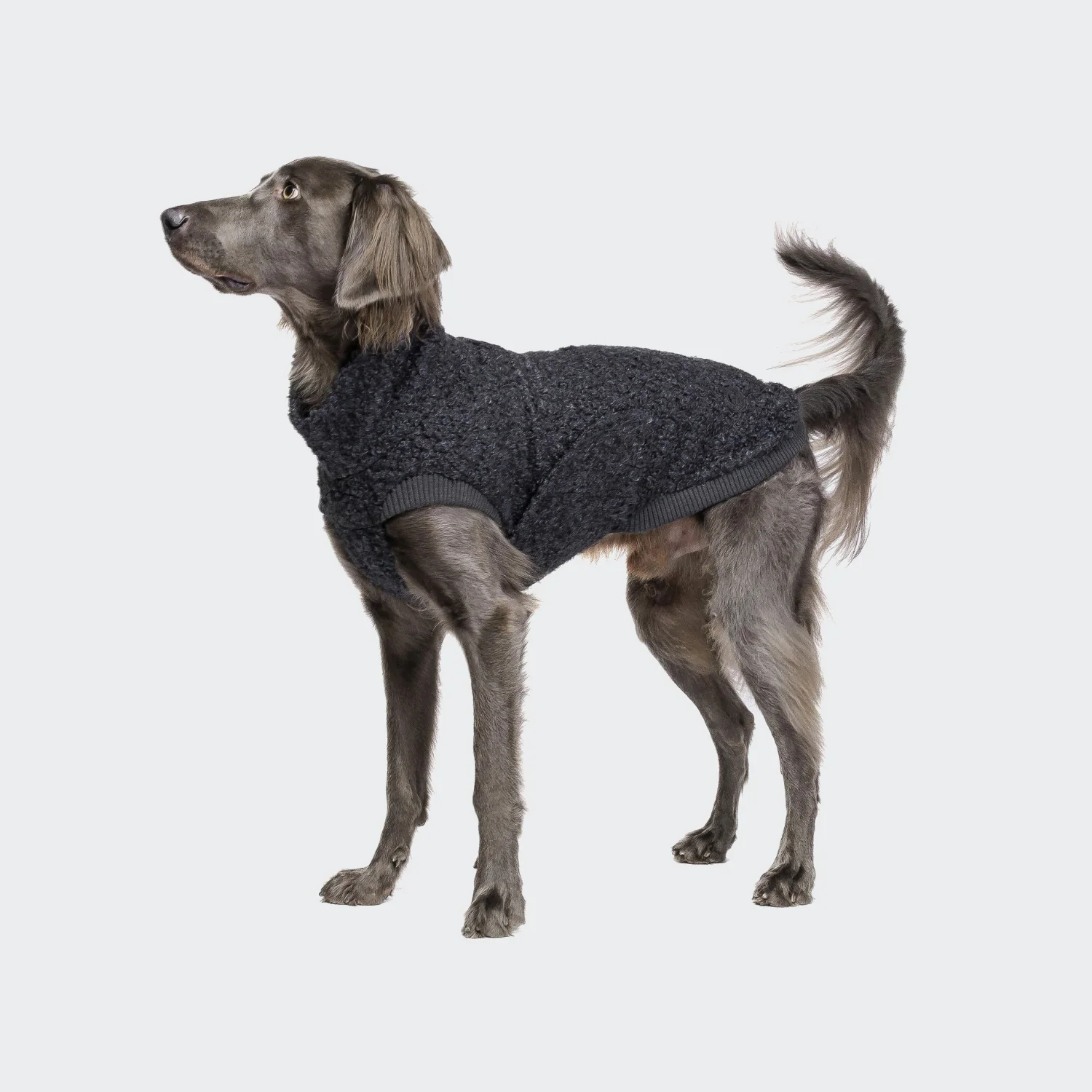 Hundepullover Gotland Anthra