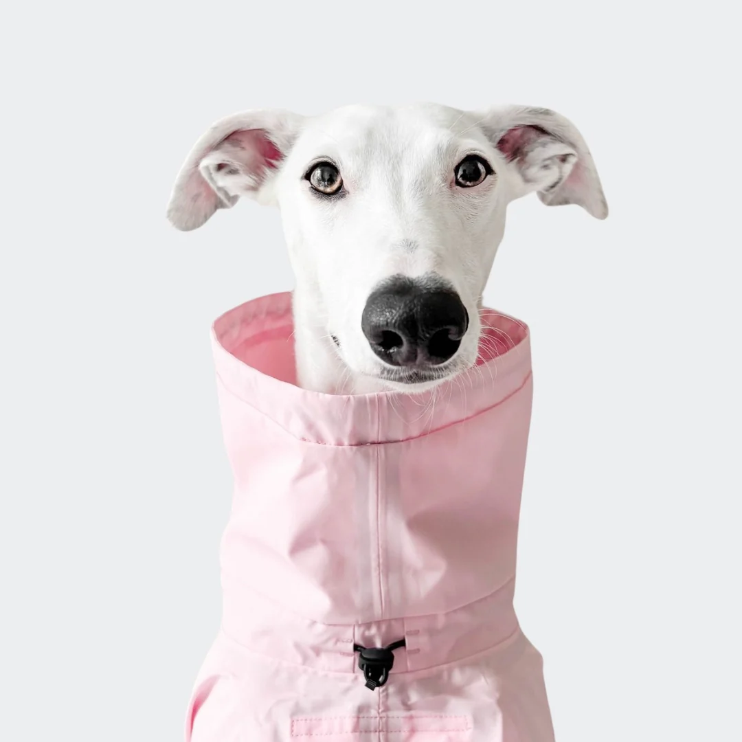 Hunderegenmantel AKTIV Peach/Neon Pink - Image 5
