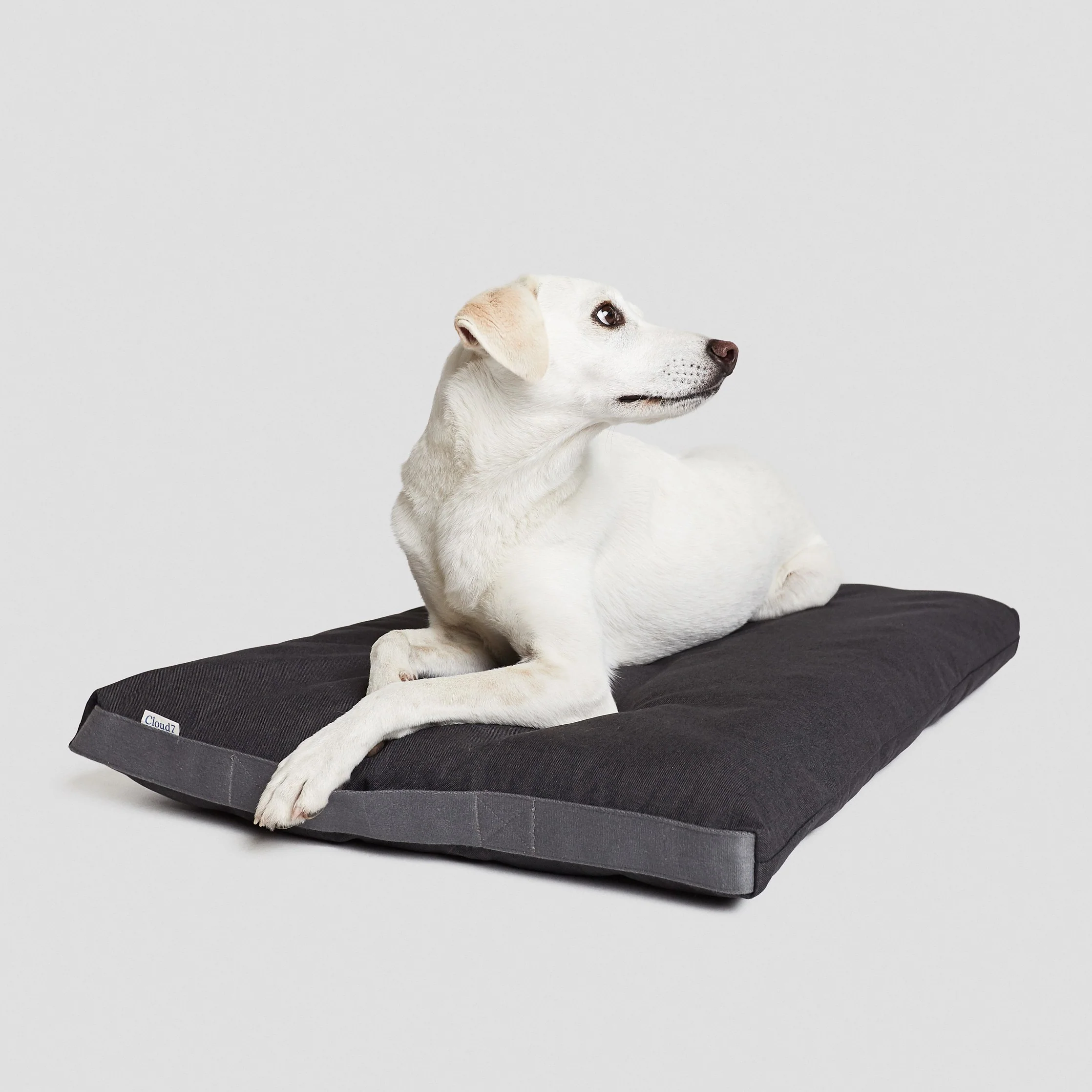 Outdoor Hundebett Siesta Graphit - Image 7