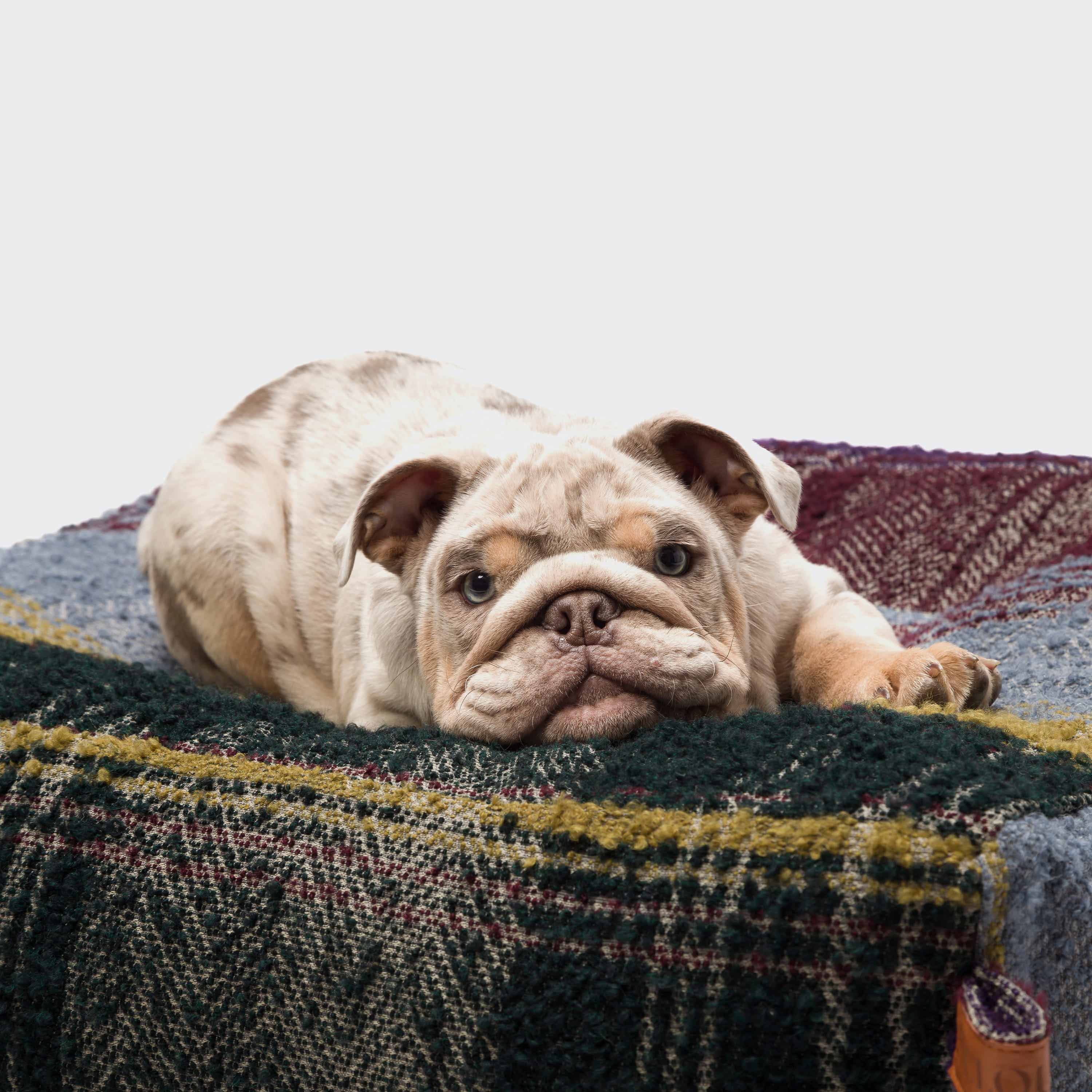 Wechselbezug Hundebett Cube Tartan Purple - Image 2